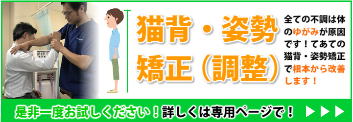猫背･姿勢矯正(調整)ページはこちら